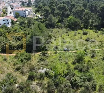 Građevinsko zemljište 3879  m2 – Novi Bokanjac, Zadar - cover