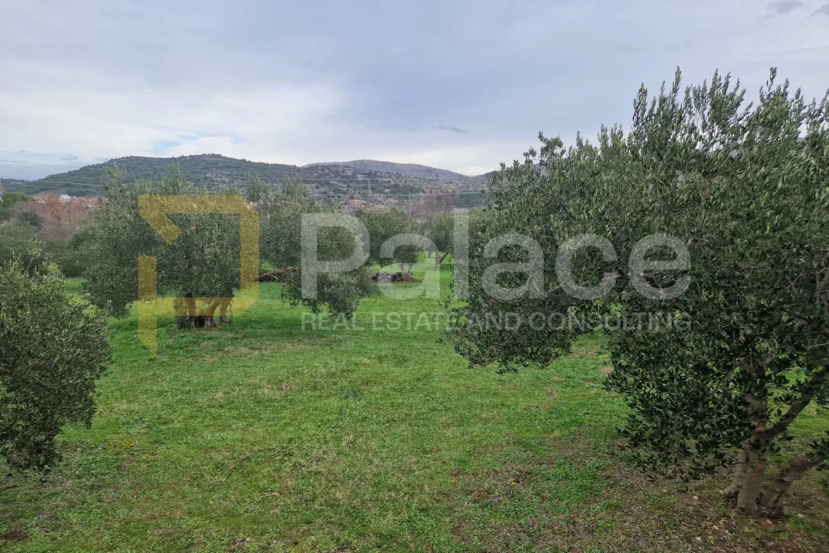 Uređeni maslinik, Dubrava kod Šibenika, 3992 m2 - cover