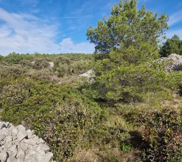 Građevinsko zemljište, Šibenik-Podsolarsko, 3.450 m2