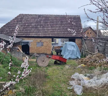 Voćnjak i građevinsko zemljište 1745 m2, Kneževi Vinogradi - cover