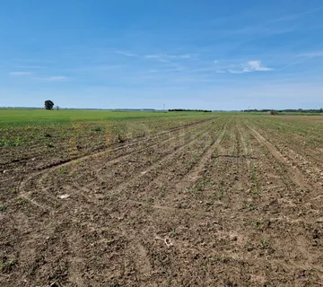 Poljoprivredno zemljište kod Čepina 7023 m2