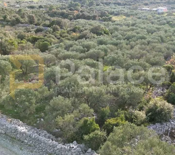 Šibenik, Razori: Atraktivno poljoprivredno zemljište 1885m2 - Grad