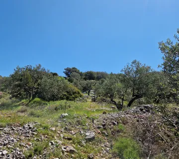 Građevinsko zemljište, Kaprije, 453 m2