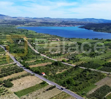 Prodaja vinograda 700m2 - Donje Polje