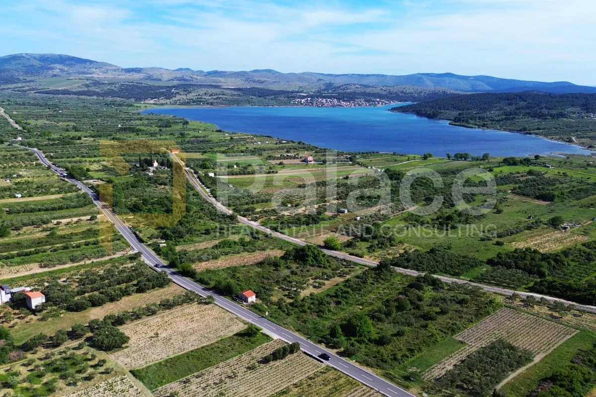 Prodaja vinograda 700m2 - Donje Polje - cover