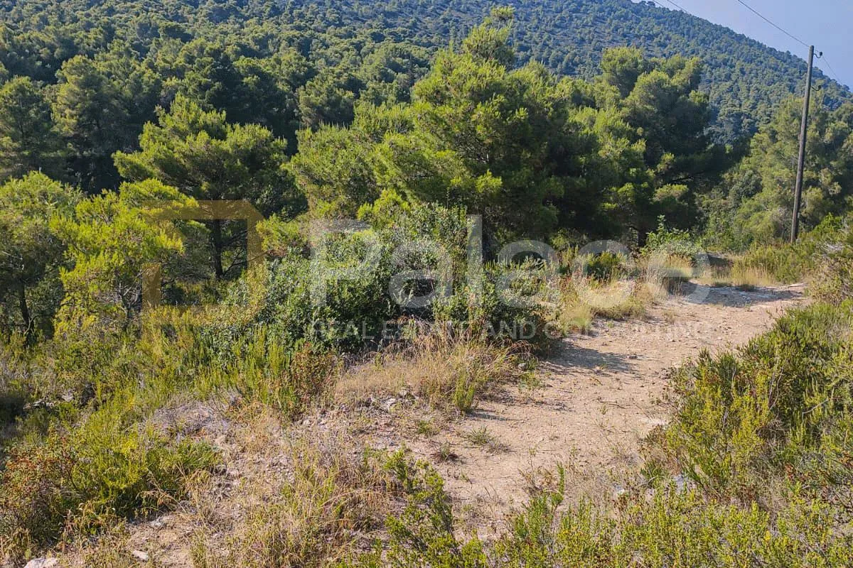 Poljoprivredno zemljište na Visu, 7127 m2 - cover