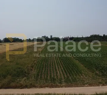 Đakovo, Poljoprivredno zemljište, 5345m2, prilika