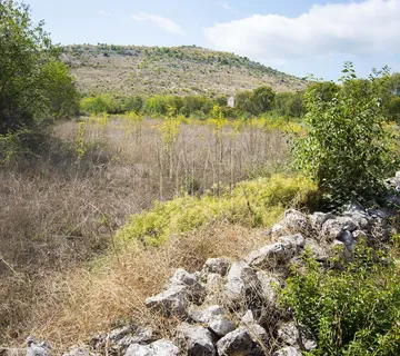 Poljoprivredno zemljište, Čista Mala-Dragišići, 7040 m2