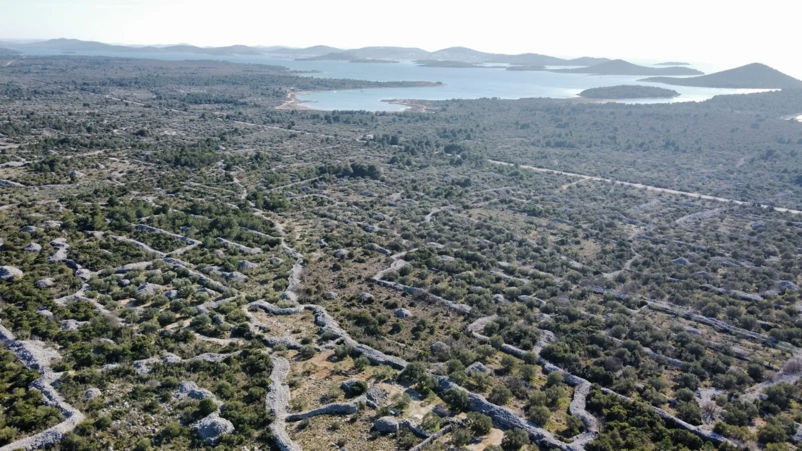 Prosika: Poljoprivredno zemljište, 230 m2 - cover