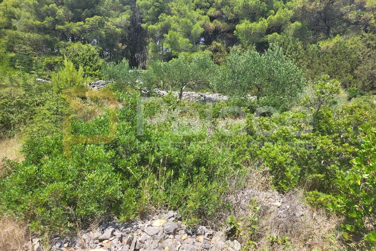Građevinsko zemljište u Sumartinu na otoku Braču, 914 m2 - cover