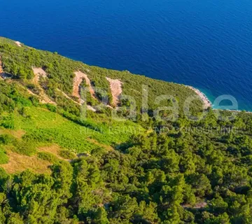 Poljoprivredno zemljište s vinogradom, 40.000 m² uz more - Pelješac - cover