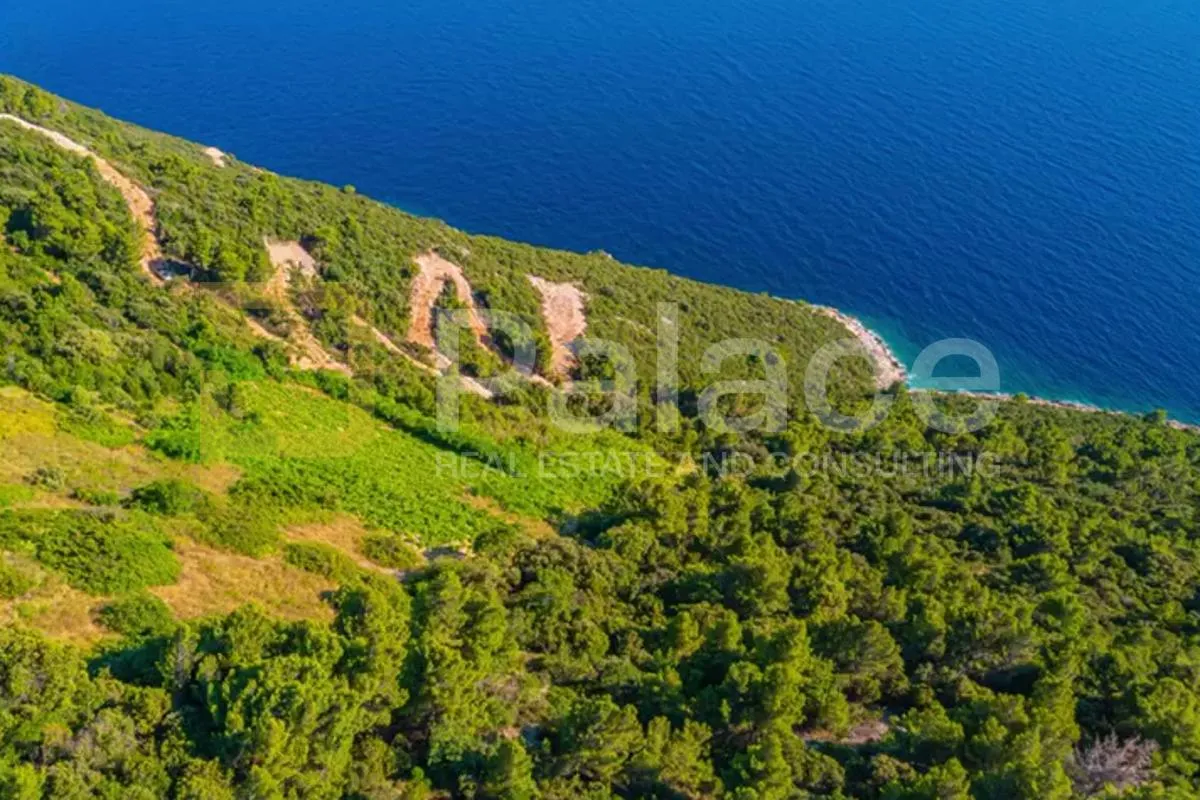 Poljoprivredno zemljište s vinogradom, 40.000 m² uz more - Pelješac - cover