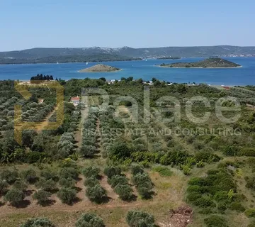 Turanj – 4.938 m² poljoprivrednog zemljišta, najam s mogućnošću kupnje - Turanj, Sveti Filip i Jakov
