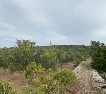 Poljoprivredno zemljište površine 3674 m2 u Županovićima - cover