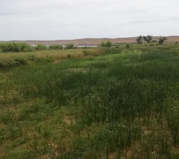 Poljoprivredno zemljište, 300m od mora - cover