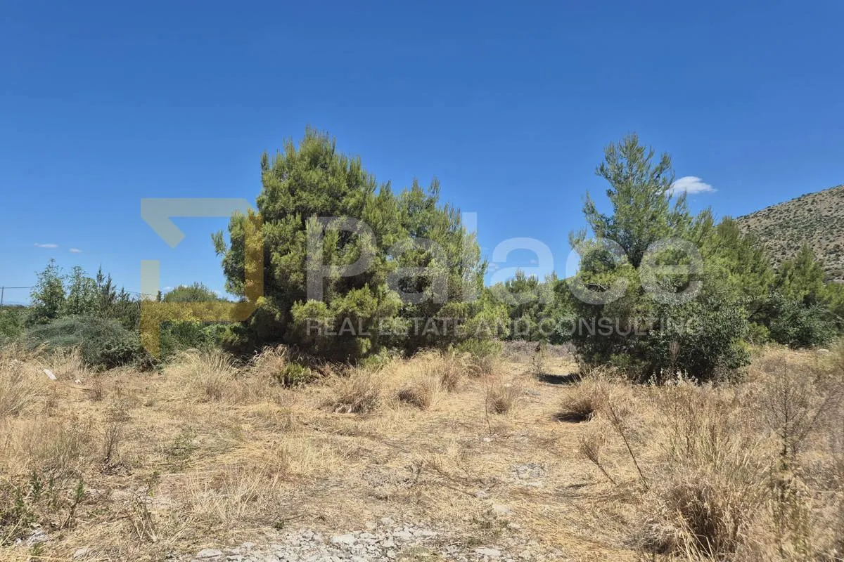 Građevinsko zemljište, Bilice, 3923 m2, moguća kupnja manje parcele - cover