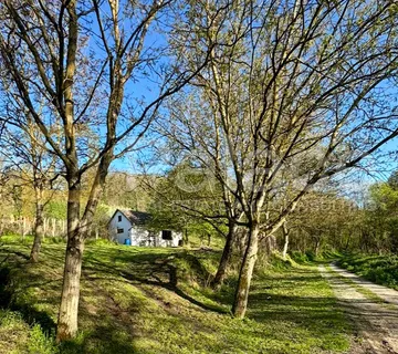 Kuća s velikim zemljištem i vinogradom – savršeno za ruralni turizam - cover