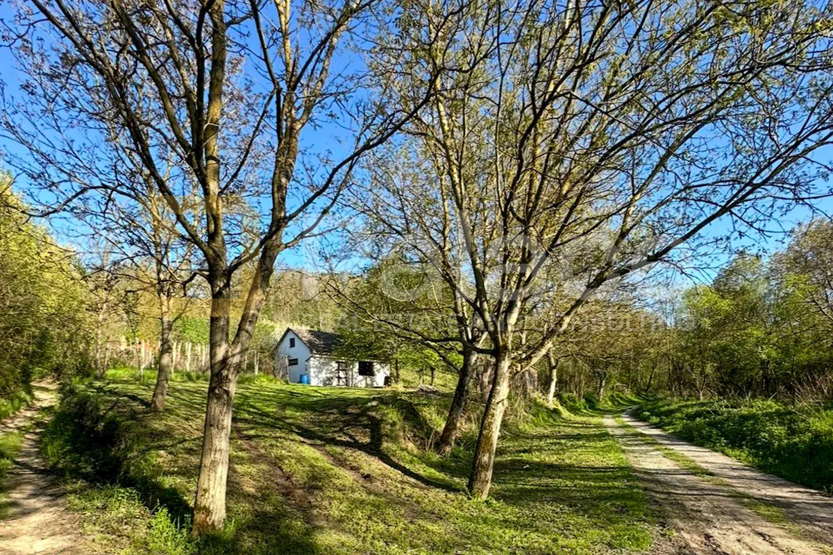 Kuća s velikim zemljištem i vinogradom – savršeno za ruralni turizam - cover