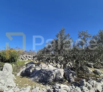 Poljoprivredno zemljište u Primoštenu 4 584 m2 - Primošten Burnji