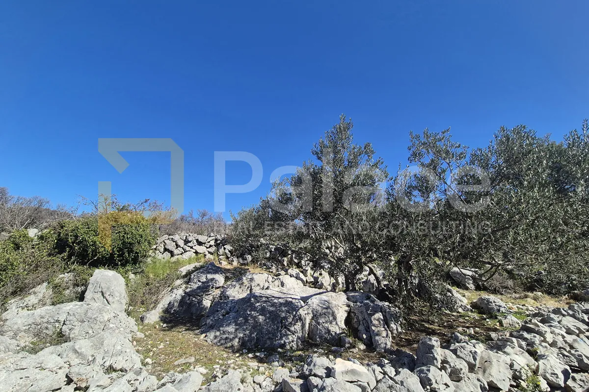 Poljoprivredno zemljište u Primoštenu 4 584 m2 - cover