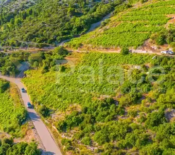 Vinograd s pogledom na more i otoke - Pelješac, Dingač - cover