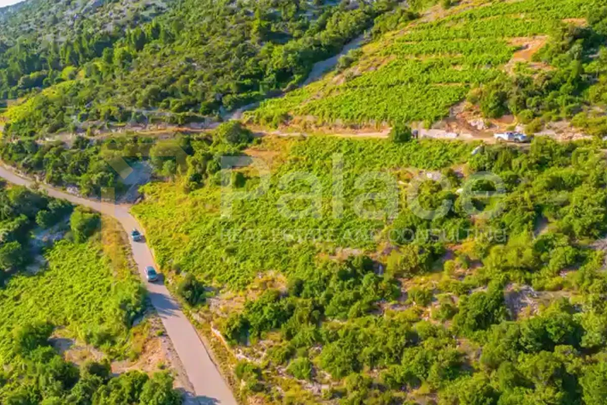Vinograd s pogledom na more i otoke - Pelješac, Dingač - cover