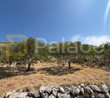 Maslinik na uzvisini s pogledom, Grebaštica - Grebaštica, Šibenik