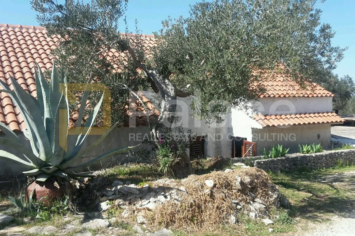 SUPETAR - Investicija, samostojeća kuća na vrhunskoj lokaciji - cover
