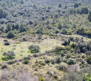 Poljoprivredno zemljište 6616m2 Tkon - cover
