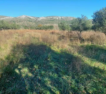 Donje polje - poljoprivredno zemljište 1285 m2 - Gornje Ražine