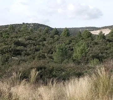 Na prodaju poljoprivredno zemljište u Marini, 4264 m² - cover