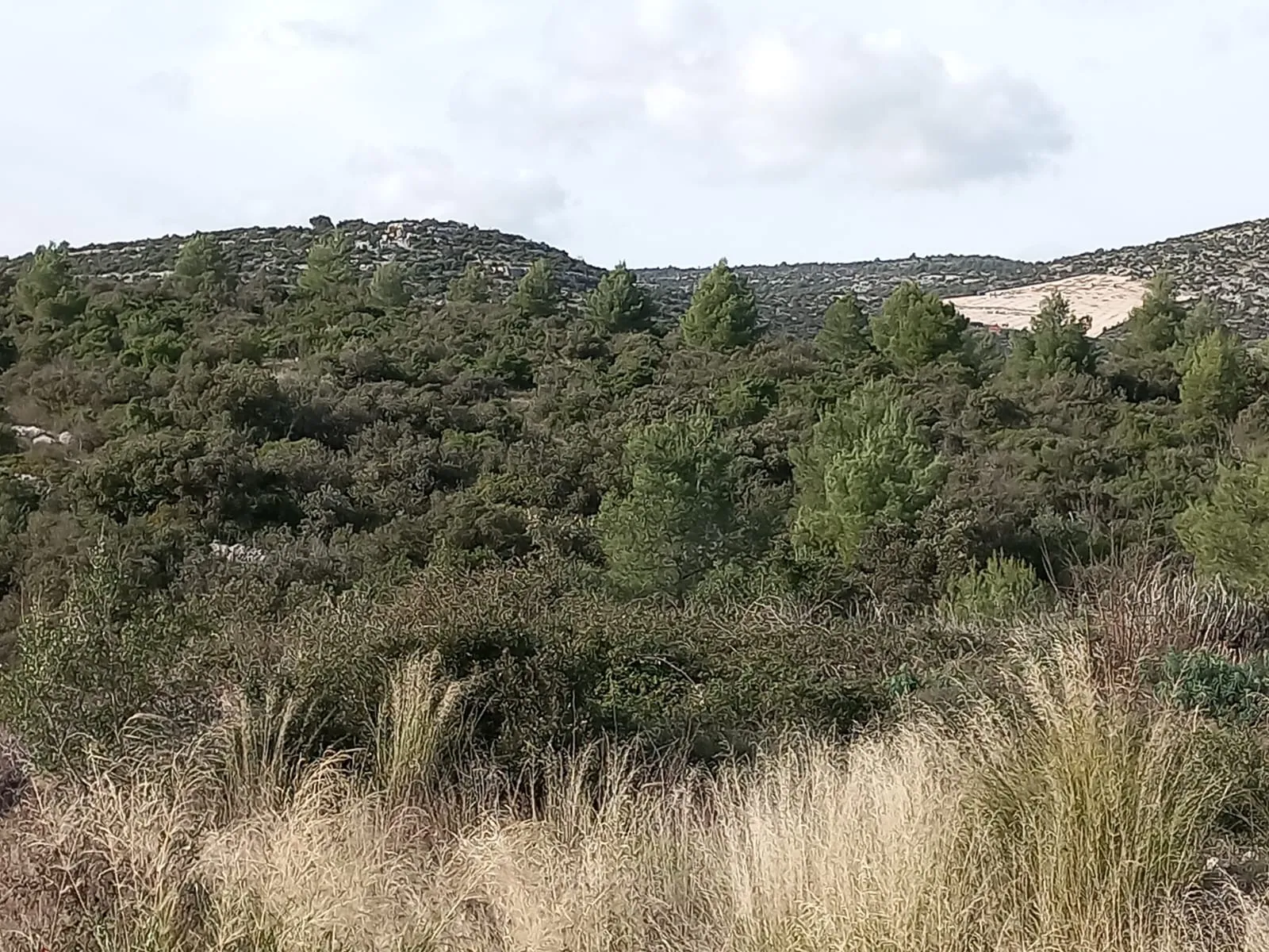 Na prodaju poljoprivredno zemljište u Marini, 4264 m² - cover