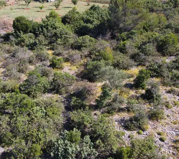 RAŠTANE (Podvršje): Građevinsko zemljište 1270 m2 - Donje Raštane, Sveti Filip i Jakov
