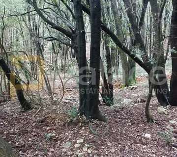 KRK: okolica, veliko poljoprivredno zemljište, PRODAJA!! - cover