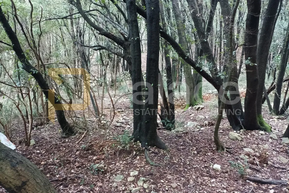 KRK: okolica, veliko poljoprivredno zemljište, PRODAJA!! - cover