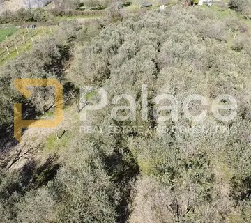 Poljoprivredno zemljište Bokanjac 6600 m2 - cover
