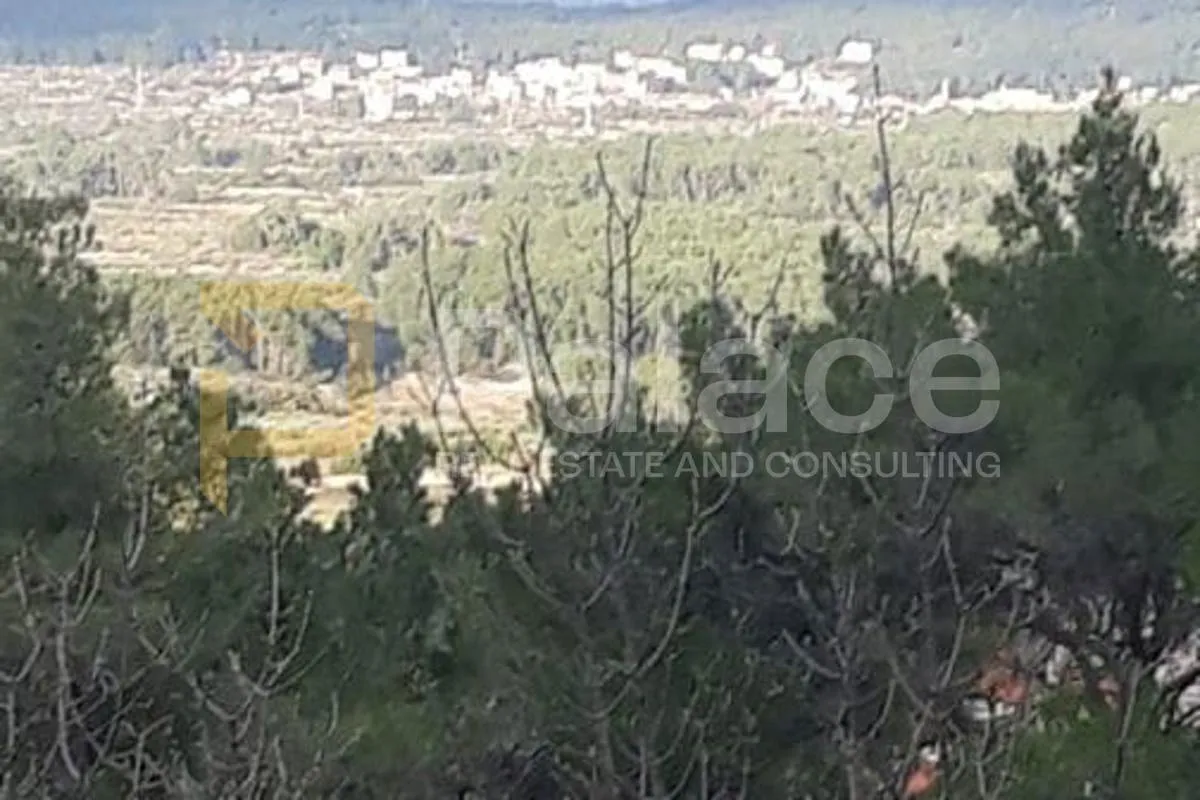 Poljoprivredno zemljište, Vrisnik na Hvaru, 24000m² - cover