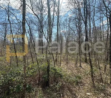 14.000 m2 u srcu Istre - Gračišće, investicijska prilika