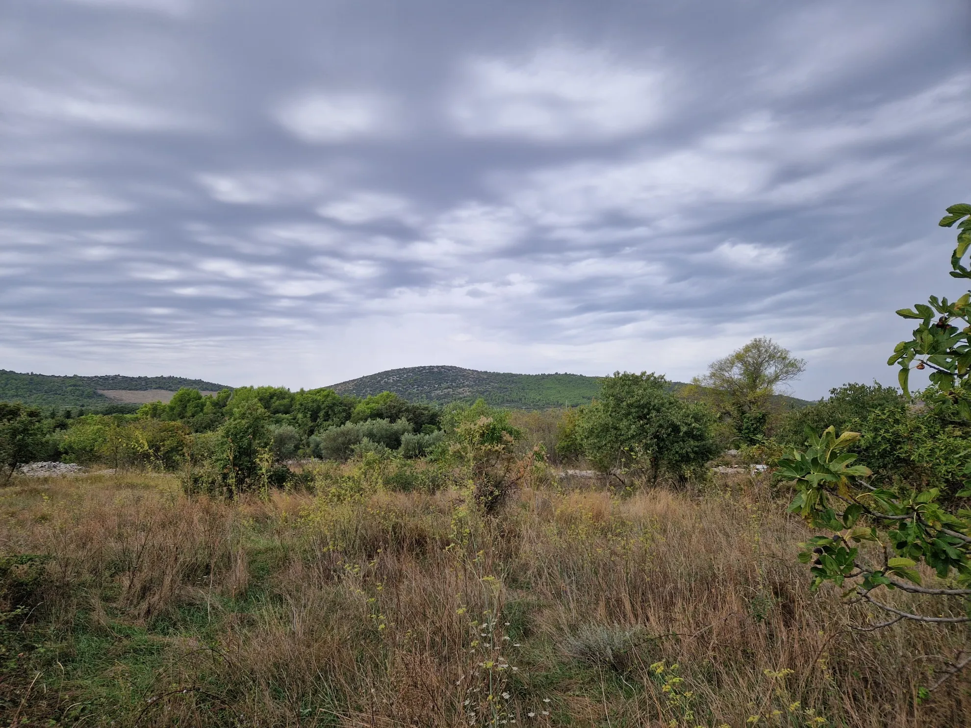 Građevinsko zemljište u Bilicama na prodaju 4 810 m2 - cover