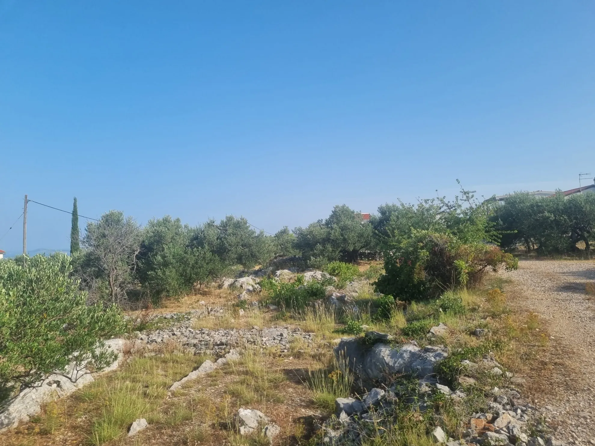 Građevinsko zemljište nedaleko Primoštena, 1460 m2 - cover