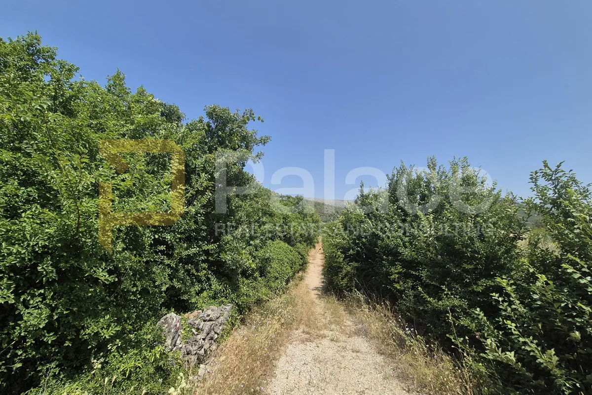 Poljoprivredno neobrađeno zemljište 2607 m2 - cover