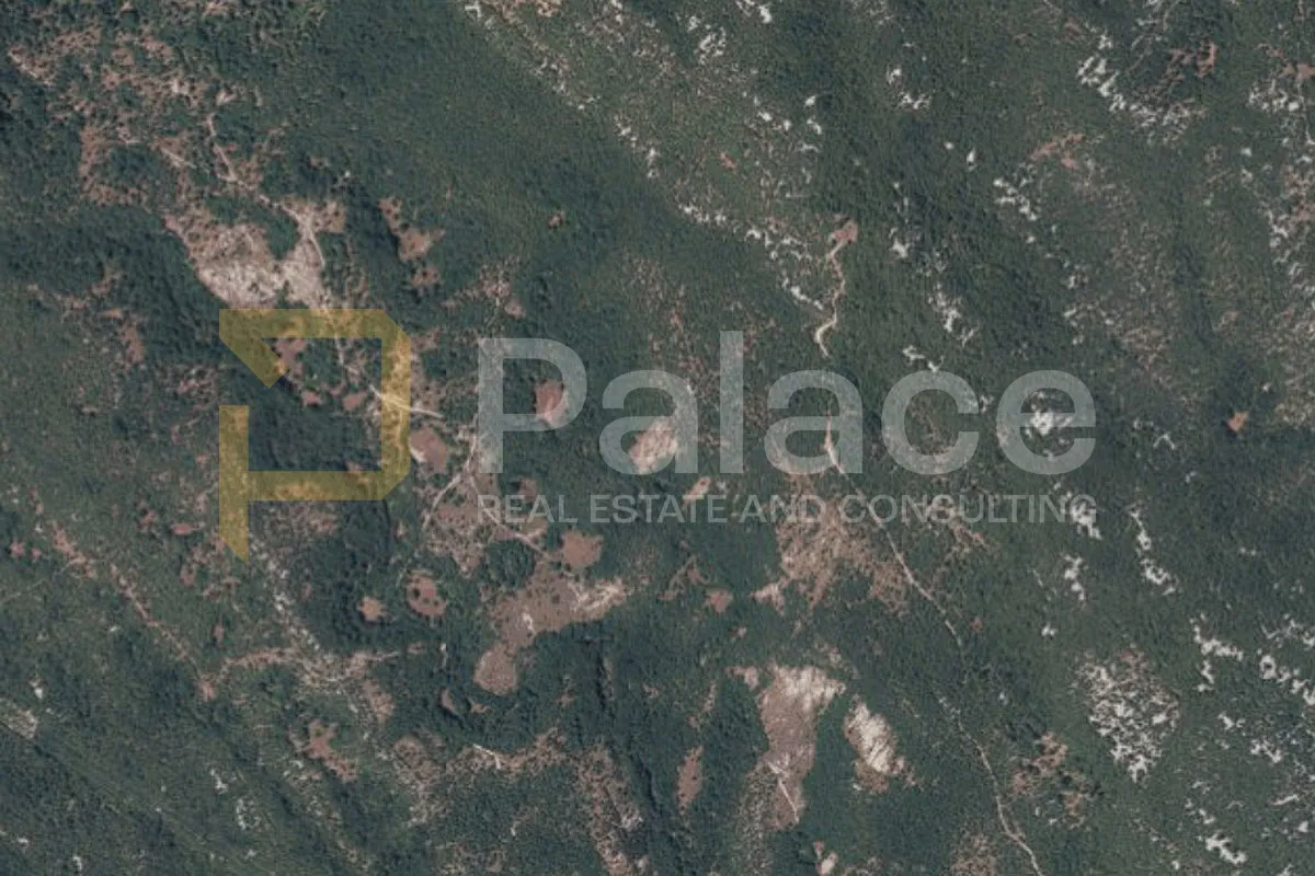 Prostrano zemljište u Jelenju – 26.900 m², idealno za poljoprivredu - cover