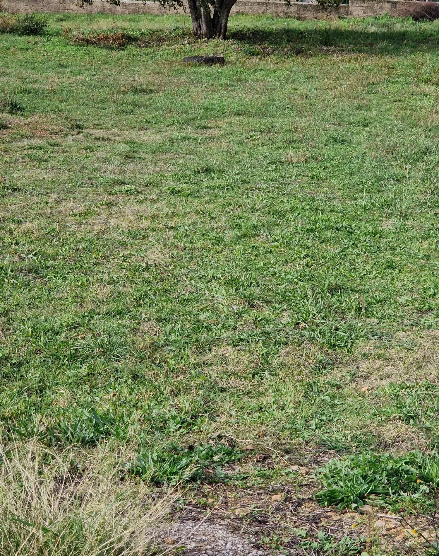 Građevinsko zemlište površine 1295m2, Bilice - cover