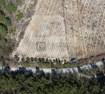 Vinograd s nasadima Plavca malog te Maslinik na Pelješcu(Kuna) - cover