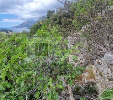 Ruševina s vinogradom POGLED NA MORE (Žuljana/Pelješac)  - cover