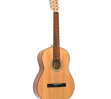 APC 1C KLASIČNA GITARA - cover