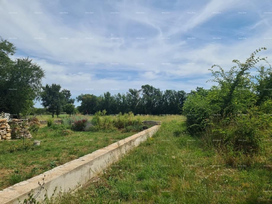 Fotografija