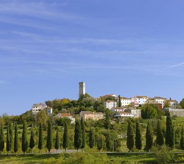 Centralna Istra: građevinska parcela površine 3ha  - cover