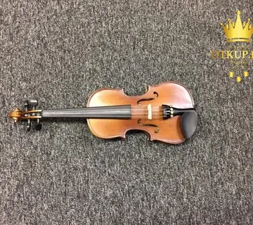 VIOLINA STENTOR / R1, RATE !! - cover