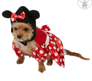 Kostim za pse Minnie - cover